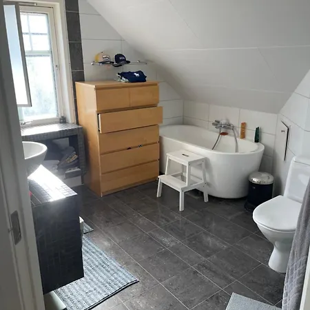 Fin Og Praktisk Bolig Til Leie For Ons *